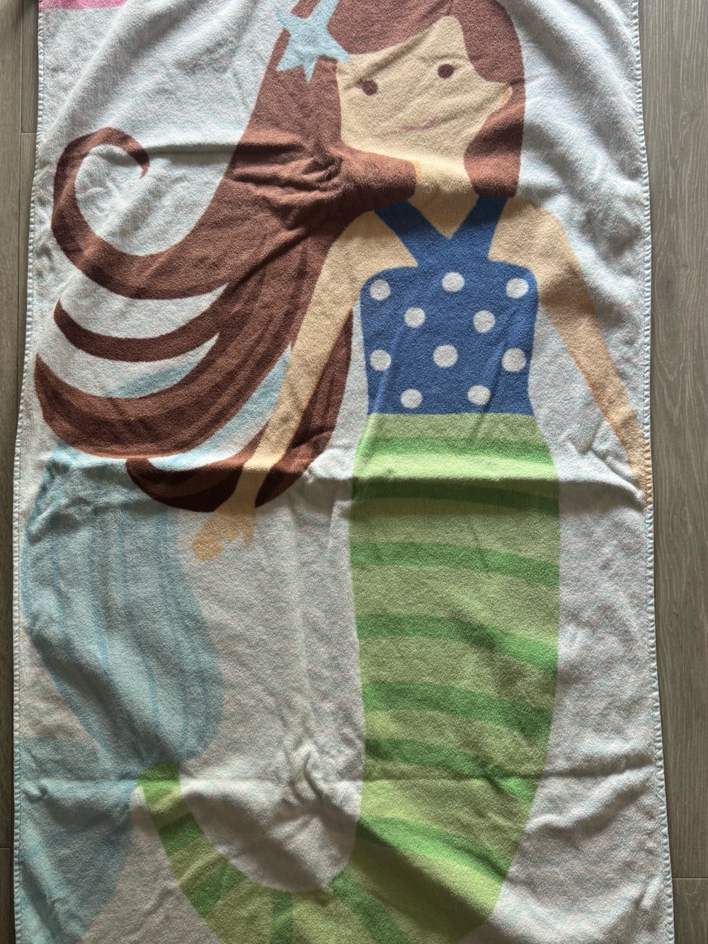 Pottery Barn Kids Mermaid Hooded Bath Towel - Green & Blue